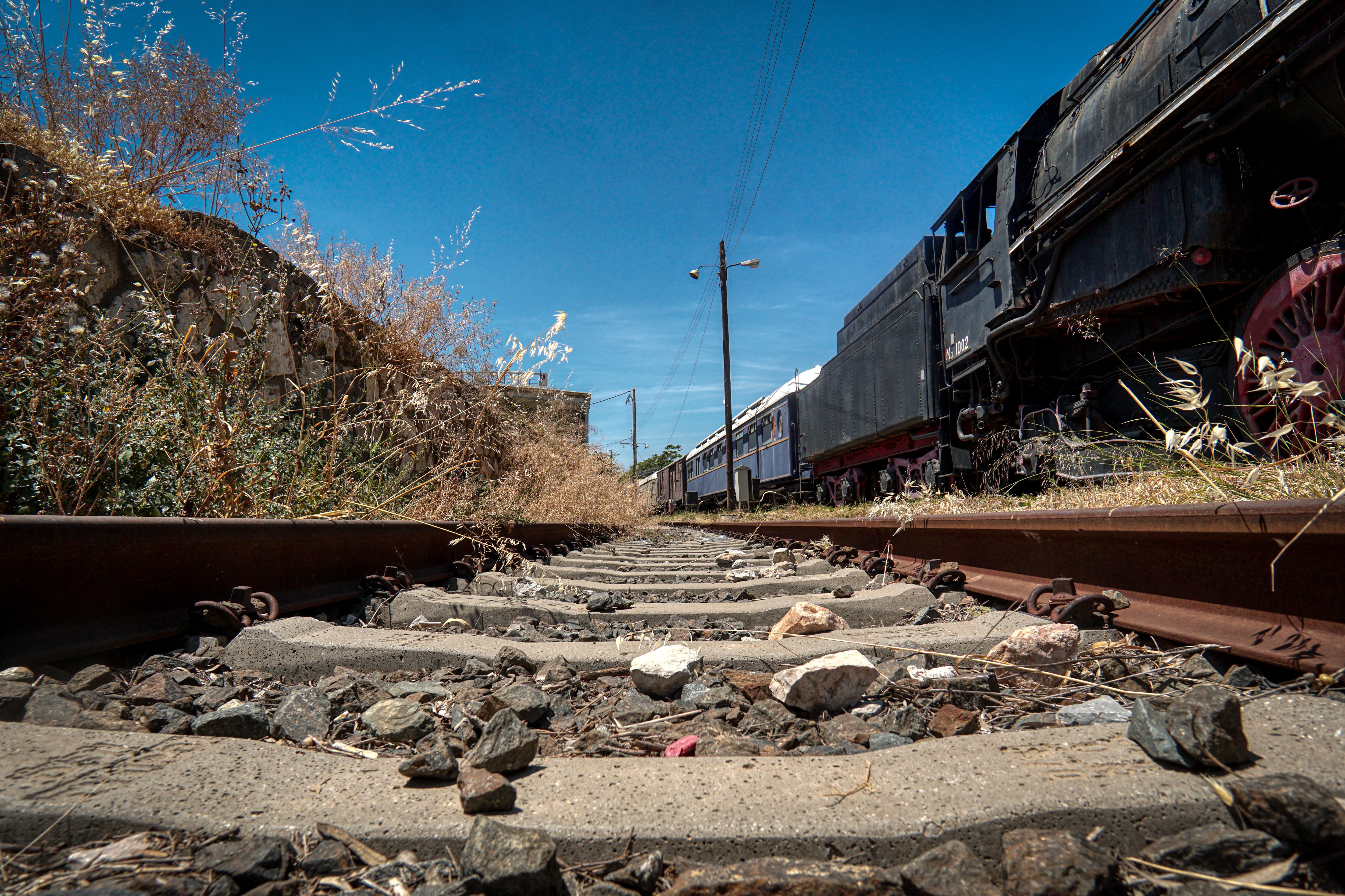 Train in Vain